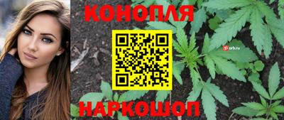 СК Краснокаменск