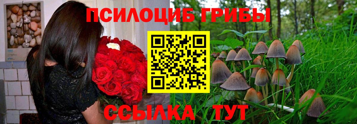 Псилоцибиновые грибы прущие грибы Кандалакша