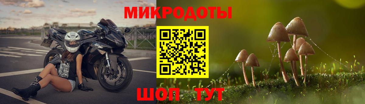 закладка  Галлюциногенные грибы ЛСД  Вход с VPN  Кандалакша  Псилоцибиновые грибы прущие грибы 